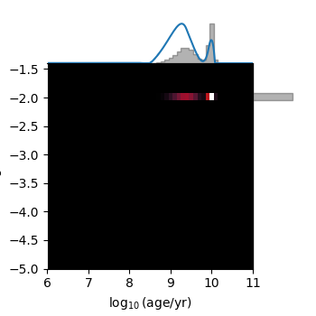 plot dense basis