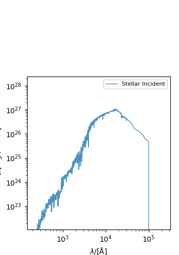 plot dense basis